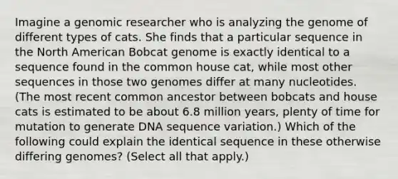 Imagine a genomic researcher who is analyzing the genome of different types of cats. She finds that a particular sequence in the North American Bobcat genome is exactly identical to a sequence found in the common house cat, while most other sequences in those two genomes differ at many nucleotides. (The most recent common ancestor between bobcats and house cats is estimated to be about 6.8 million years, plenty of time for mutation to generate DNA sequence variation.) Which of the following could explain the identical sequence in these otherwise differing genomes? (Select all that apply.)