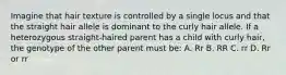 Imagine that hair texture is controlled by a single locus and that the straight hair allele is dominant to the curly hair allele. If a heterozygous straight-haired parent has a child with curly hair, the genotype of the other parent must be: A. Rr B. RR C. rr D. Rr or rr