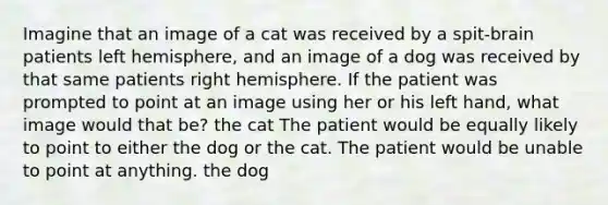 Imagine that an image of a cat was received by a spit-brain patients left hemisphere, and an image of a dog was received by that same patients right hemisphere. If the patient was prompted to point at an image using her or his left hand, what image would that be? the cat The patient would be equally likely to point to either the dog or the cat. The patient would be unable to point at anything. the dog