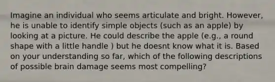 Imagine an individual who seems articulate and bright. However, he is unable to identify simple objects (such as an apple) by looking at a picture. He could describe the apple (e.g., a round shape with a little handle ) but he doesnt know what it is. Based on your understanding so far, which of the following descriptions of possible brain damage seems most compelling?