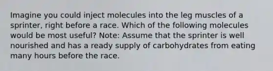 Imagine you could inject molecules into the leg muscles of a sprinter, right before a race. Which of the following molecules would be most useful? Note: Assume that the sprinter is well nourished and has a ready supply of carbohydrates from eating many hours before the race.