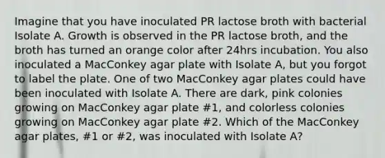 Imagine that you have inoculated PR lactose broth with bacterial Isolate A. Growth is observed in the PR lactose broth, and the broth has turned an orange color after 24hrs incubation. You also inoculated a MacConkey agar plate with Isolate A, but you forgot to label the plate. One of two MacConkey agar plates could have been inoculated with Isolate A. There are dark, pink colonies growing on MacConkey agar plate #1, and colorless colonies growing on MacConkey agar plate #2. Which of the MacConkey agar plates, #1 or #2, was inoculated with Isolate A?