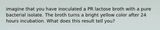 imagine that you have inoculated a PR lactose broth with a pure bacterial isolate. The broth turns a bright yellow color after 24 hours incubation. What does this result tell you?