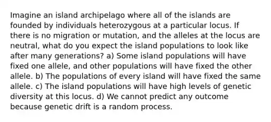 Imagine an island archipelago where all of the islands are founded by individuals heterozygous at a particular locus. If there is no migration or mutation, and the alleles at the locus are neutral, what do you expect the island populations to look like after many generations? a) Some island populations will have fixed one allele, and other populations will have fixed the other allele. b) The populations of every island will have fixed the same allele. c) The island populations will have high levels of genetic diversity at this locus. d) We cannot predict any outcome because genetic drift is a random process.