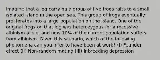 Imagine that a log carrying a group of five frogs rafts to a small, isolated island in the open sea. This group of frogs eventually proliferates into a large population on the island. One of the original frogs on that log was heterozygous for a recessive albinism allele, and now 10% of the current population suffers from albinism. Given this scenario, which of the following phenomena can you infer to have been at work? (I) Founder effect (II) Non-random mating (III) Inbreeding depression