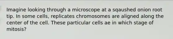 Imagine looking through a microscope at a sqaushed onion root tip. In some cells, replicates chromosomes are aligned along the center of the cell. These particular cells ae in which stage of mitosis?