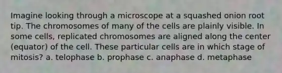 Imagine looking through a microscope at a squashed onion root tip. The chromosomes of many of the cells are plainly visible. In some cells, replicated chromosomes are aligned along the center (equator) of the cell. These particular cells are in which stage of mitosis? a. telophase b. prophase c. anaphase d. metaphase