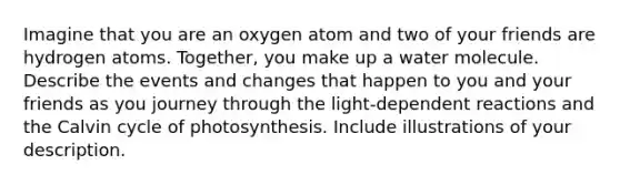 Imagine that you are an oxygen atom and two of your friends are hydrogen atoms. Together, you make up a water molecule. Describe the events and changes that happen to you and your friends as you journey through the light-dependent reactions and the Calvin cycle of photosynthesis. Include illustrations of your description.