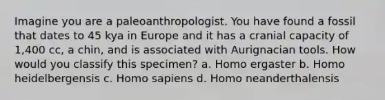 Imagine you are a paleoanthropologist. You have found a fossil that dates to 45 kya in Europe and it has a cranial capacity of 1,400 cc, a chin, and is associated with Aurignacian tools. How would you classify this specimen? a. Homo ergaster b. Homo heidelbergensis c. Homo sapiens d. Homo neanderthalensis