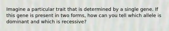 Imagine a particular trait that is determined by a single gene. If this gene is present in two forms, how can you tell which allele is dominant and which is recessive?