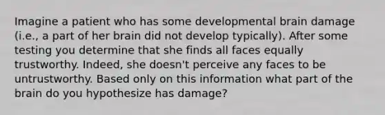 Imagine a patient who has some developmental brain damage (i.e., a part of her brain did not develop typically). After some testing you determine that she finds all faces equally trustworthy. Indeed, she doesn't perceive any faces to be untrustworthy. Based only on this information what part of the brain do you hypothesize has damage?