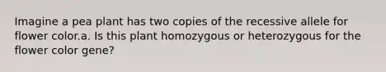 Imagine a pea plant has two copies of the recessive allele for flower color.a. Is this plant homozygous or heterozygous for the flower color gene?