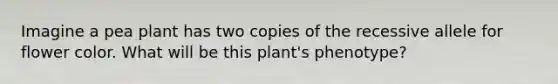 Imagine a pea plant has two copies of the recessive allele for flower color. What will be this plant's phenotype?