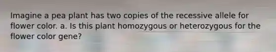 Imagine a pea plant has two copies of the recessive allele for flower color. a. Is this plant homozygous or heterozygous for the flower color gene?