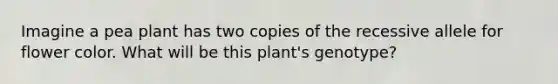 Imagine a pea plant has two copies of the recessive allele for flower color. What will be this plant's genotype?