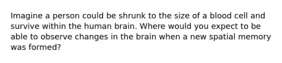 Imagine a person could be shrunk to the size of a blood cell and survive within the human brain. Where would you expect to be able to observe changes in the brain when a new spatial memory was formed?