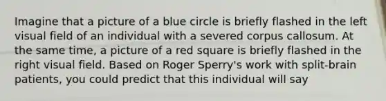 Imagine that a picture of a blue circle is briefly flashed in the left visual field of an individual with a severed corpus callosum. At the same time, a picture of a red square is briefly flashed in the right visual field. Based on Roger Sperry's work with split-brain patients, you could predict that this individual will say