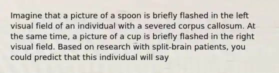 Imagine that a picture of a spoon is briefly flashed in the left visual field of an individual with a severed corpus callosum. At the same time, a picture of a cup is briefly flashed in the right visual field. Based on research with split-brain patients, you could predict that this individual will say