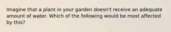 Imagine that a plant in your garden doesn't receive an adequate amount of water. Which of the following would be most affected by this?