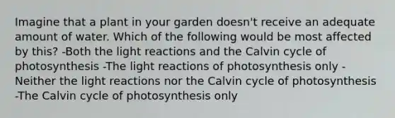 Imagine that a plant in your garden doesn't receive an adequate amount of water. Which of the following would be most affected by this? -Both the <a href='https://www.questionai.com/knowledge/kSUoWrrvoC-light-reactions' class='anchor-knowledge'>light reactions</a> and the Calvin cycle of photosynthesis -The light reactions of photosynthesis only -Neither the light reactions nor the Calvin cycle of photosynthesis -The Calvin cycle of photosynthesis only