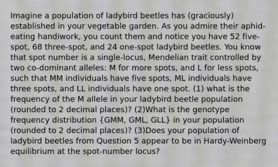 Imagine a population of ladybird beetles has (graciously) established in your vegetable garden. As you admire their aphid-eating handiwork, you count them and notice you have 52 five-spot, 68 three-spot, and 24 one-spot ladybird beetles. You know that spot number is a single-locus, Mendelian trait controlled by two co-dominant alleles: M for more spots, and L for less spots, such that MM individuals have five spots, ML individuals have three spots, and LL individuals have one spot. (1) what is the frequency of the M allele in your ladybird beetle population (rounded to 2 decimal places)? (2)What is the genotype <a href='https://www.questionai.com/knowledge/kBageYpRHz-frequency-distribution' class='anchor-knowledge'>frequency distribution</a> (GMM, GML, GLL) in your population (rounded to 2 decimal places)? (3)Does your population of ladybird beetles from Question 5 appear to be in Hardy-Weinberg equilibrium at the spot-number locus?