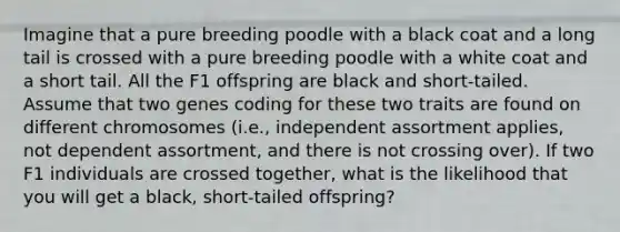 Imagine that a pure breeding poodle with a black coat and a long tail is crossed with a pure breeding poodle with a white coat and a short tail. All the F1 offspring are black and short-tailed. Assume that two genes coding for these two traits are found on different chromosomes (i.e., independent assortment applies, not dependent assortment, and there is not crossing over). If two F1 individuals are crossed together, what is the likelihood that you will get a black, short-tailed offspring?