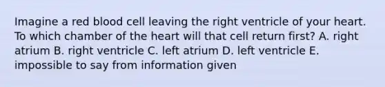 Imagine a red blood cell leaving the right ventricle of your heart. To which chamber of <a href='https://www.questionai.com/knowledge/kya8ocqc6o-the-heart' class='anchor-knowledge'>the heart</a> will that cell return first? A. right atrium B. right ventricle C. left atrium D. left ventricle E. impossible to say from information given