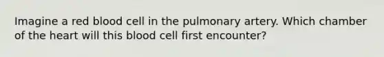 Imagine a red blood cell in the pulmonary artery. Which chamber of the heart will this blood cell first encounter?