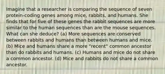 Imagine that a researcher is comparing the sequence of seven protein-coding genes among mice, rabbits, and humans. She finds that for five of these genes the rabbit sequences are more similar to the human sequences than are the mouse sequences. What can she deduce? (a) More sequences are conserved between rabbits and humans than between humans and mice. (b) Mice and humans share a more "recent" common ancestor than do rabbits and humans. (c) Humans and mice do not share a common ancestor. (d) Mice and rabbits do not share a common ancestor.