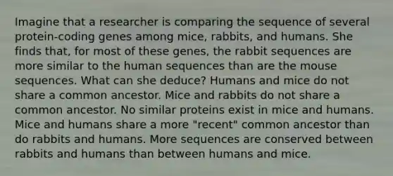 Imagine that a researcher is comparing the sequence of several protein-coding genes among mice, rabbits, and humans. She finds that, for most of these genes, the rabbit sequences are more similar to the human sequences than are the mouse sequences. What can she deduce? Humans and mice do not share a common ancestor. Mice and rabbits do not share a common ancestor. No similar proteins exist in mice and humans. Mice and humans share a more "recent" common ancestor than do rabbits and humans. More sequences are conserved between rabbits and humans than between humans and mice.