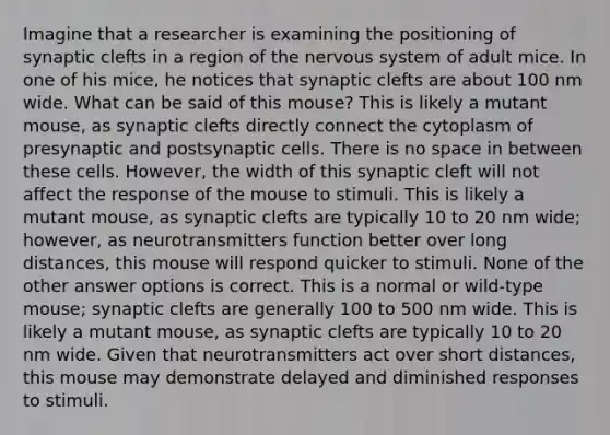 Imagine that a researcher is examining the positioning of synaptic clefts in a region of the nervous system of adult mice. In one of his mice, he notices that synaptic clefts are about 100 nm wide. What can be said of this mouse? This is likely a mutant mouse, as synaptic clefts directly connect the cytoplasm of presynaptic and postsynaptic cells. There is no space in between these cells. However, the width of this synaptic cleft will not affect the response of the mouse to stimuli. This is likely a mutant mouse, as synaptic clefts are typically 10 to 20 nm wide; however, as neurotransmitters function better over long distances, this mouse will respond quicker to stimuli. None of the other answer options is correct. This is a normal or wild-type mouse; synaptic clefts are generally 100 to 500 nm wide. This is likely a mutant mouse, as synaptic clefts are typically 10 to 20 nm wide. Given that neurotransmitters act over short distances, this mouse may demonstrate delayed and diminished responses to stimuli.