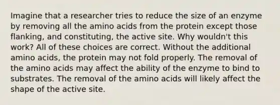 Imagine that a researcher tries to reduce the size of an enzyme by removing all the amino acids from the protein except those flanking, and constituting, the active site. Why wouldn't this work? All of these choices are correct. Without the additional amino acids, the protein may not fold properly. The removal of the amino acids may affect the ability of the enzyme to bind to substrates. The removal of the amino acids will likely affect the shape of the active site.