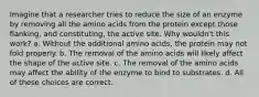 Imagine that a researcher tries to reduce the size of an enzyme by removing all the amino acids from the protein except those flanking, and constituting, the active site. Why wouldn't this work? a. Without the additional amino acids, the protein may not fold properly. b. The removal of the amino acids will likely affect the shape of the active site. c. The removal of the amino acids may affect the ability of the enzyme to bind to substrates. d. All of these choices are correct.