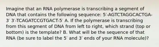 Imagine that an RNA polymerase is transcribing a segment of DNA that contains the following sequence: 5′-AGTCTAGGCACTGA-3′ 3′-TCAGATCCGTGACT-5′ A. If the polymerase is transcribing from this segment of DNA from left to right, which strand (top or bottom) is the template? B. What will be the sequence of that RNA (be sure to label the 5′ and 3′ ends of your RNA molecule)?