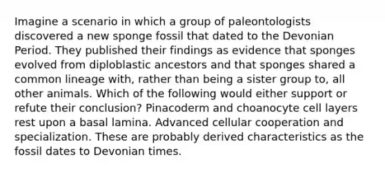 Imagine a scenario in which a group of paleontologists discovered a new sponge fossil that dated to the Devonian Period. They published their findings as evidence that sponges evolved from diploblastic ancestors and that sponges shared a common lineage with, rather than being a sister group to, all other animals. Which of the following would either support or refute their conclusion? Pinacoderm and choanocyte cell layers rest upon a basal lamina. Advanced cellular cooperation and specialization. These are probably derived characteristics as the fossil dates to Devonian times.