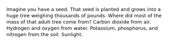 Imagine you have a seed. That seed is planted and grows into a huge tree weighing thousands of pounds. Where did most of the mass of that adult tree come from? Carbon dioxide from air. Hydrogen and oxygen from water. Potassium, phosphorus, and nitrogen from the soil. Sunlight.