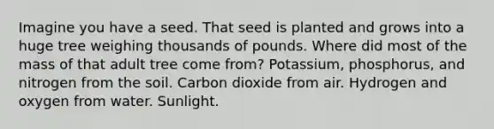 Imagine you have a seed. That seed is planted and grows into a huge tree weighing thousands of pounds. Where did most of the mass of that adult tree come from? Potassium, phosphorus, and nitrogen from the soil. Carbon dioxide from air. Hydrogen and oxygen from water. Sunlight.