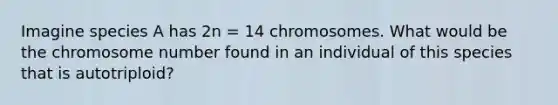 Imagine species A has 2n = 14 chromosomes. What would be the chromosome number found in an individual of this species that is autotriploid?