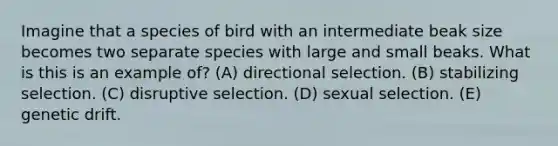 Imagine that a species of bird with an intermediate beak size becomes two separate species with large and small beaks. What is this is an example of? (A) directional selection. (B) stabilizing selection. (C) disruptive selection. (D) sexual selection. (E) genetic drift.