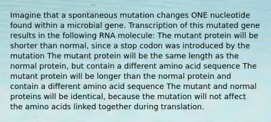 Imagine that a spontaneous mutation changes ONE nucleotide found within a microbial gene. Transcription of this mutated gene results in the following RNA molecule: The mutant protein will be shorter than normal, since a stop codon was introduced by the mutation The mutant protein will be the same length as the normal protein, but contain a different amino acid sequence The mutant protein will be longer than the normal protein and contain a different amino acid sequence The mutant and normal proteins will be identical, because the mutation will not affect the amino acids linked together during translation.