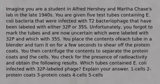 Imagine you are a student in Alfred Hershey and Martha Chase's lab in the late 1940s. You are given five test tubes containing E. coli bacteria that were infected with T2 bacteriophage that have been labeled with either 32P or 35S. Unfortunately, you forgot to mark the tubes and are now uncertain which were labeled with 32P and which with 35S. You place the contents ofeach tube in a blender and turn it on for a few seconds to shear off the protein coats. You then centrifuge the contents to separate the protein coats and the cells. You check for the presence of radioactivity and obtain the following results. Which tubes contained E. coli infected with 32P-labeled phage? Explain your answer. 1-cells 2-protein coats 3-protein coats 4-cells 5-cells