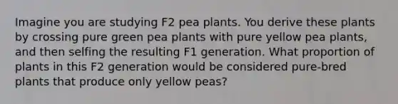 Imagine you are studying F2 pea plants. You derive these plants by crossing pure green pea plants with pure yellow pea plants, and then selfing the resulting F1 generation. What proportion of plants in this F2 generation would be considered pure-bred plants that produce only yellow peas?