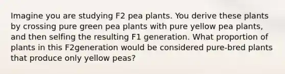 Imagine you are studying F2 pea plants. You derive these plants by crossing pure green pea plants with pure yellow pea plants, and then selfing the resulting F1 generation. What proportion of plants in this F2generation would be considered pure-bred plants that produce only yellow peas?