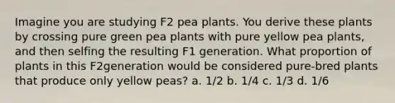 Imagine you are studying F2 pea plants. You derive these plants by crossing pure green pea plants with pure yellow pea plants, and then selfing the resulting F1 generation. What proportion of plants in this F2generation would be considered pure-bred plants that produce only yellow peas? a. 1/2 b. 1/4 c. 1/3 d. 1/6