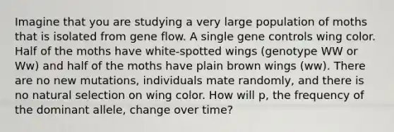 Imagine that you are studying a very large population of moths that is isolated from gene flow. A single gene controls wing color. Half of the moths have white-spotted wings (genotype WW or Ww) and half of the moths have plain brown wings (ww). There are no new mutations, individuals mate randomly, and there is no natural selection on wing color. How will p, the frequency of the dominant allele, change over time?