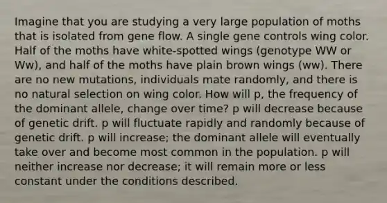 Imagine that you are studying a very large population of moths that is isolated from gene flow. A single <a href='https://www.questionai.com/knowledge/kwVcWmCQNM-gene-control' class='anchor-knowledge'>gene control</a>s wing color. Half of the moths have white-spotted wings (genotype WW or Ww), and half of the moths have plain brown wings (ww). There are no new mutations, individuals mate randomly, and there is no natural selection on wing color. How will p, the frequency of the dominant allele, change over time? p will decrease because of genetic drift. p will fluctuate rapidly and randomly because of genetic drift. p will increase; the dominant allele will eventually take over and become most common in the population. p will neither increase nor decrease; it will remain more or less constant under the conditions described.