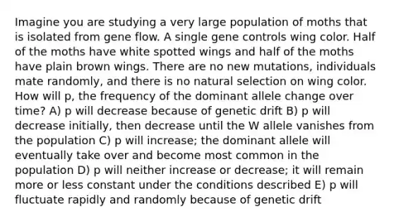 Imagine you are studying a very large population of moths that is isolated from gene flow. A single gene controls wing color. Half of the moths have white spotted wings and half of the moths have plain brown wings. There are no new mutations, individuals mate randomly, and there is no natural selection on wing color. How will p, the frequency of the dominant allele change over time? A) p will decrease because of genetic drift B) p will decrease initially, then decrease until the W allele vanishes from the population C) p will increase; the dominant allele will eventually take over and become most common in the population D) p will neither increase or decrease; it will remain more or less constant under the conditions described E) p will fluctuate rapidly and randomly because of genetic drift