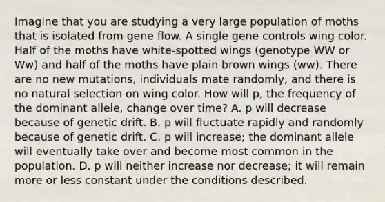 Imagine that you are studying a very large population of moths that is isolated from gene flow. A single <a href='https://www.questionai.com/knowledge/kwVcWmCQNM-gene-control' class='anchor-knowledge'>gene control</a>s wing color. Half of the moths have white-spotted wings (genotype WW or Ww) and half of the moths have plain brown wings (ww). There are no new mutations, individuals mate randomly, and there is no natural selection on wing color. How will p, the frequency of the dominant allele, change over time? A. p will decrease because of genetic drift. B. p will fluctuate rapidly and randomly because of genetic drift. C. p will increase; the dominant allele will eventually take over and become most common in the population. D. p will neither increase nor decrease; it will remain more or less constant under the conditions described.