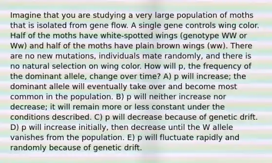 Imagine that you are studying a very large population of moths that is isolated from gene flow. A single <a href='https://www.questionai.com/knowledge/kwVcWmCQNM-gene-control' class='anchor-knowledge'>gene control</a>s wing color. Half of the moths have white-spotted wings (genotype WW or Ww) and half of the moths have plain brown wings (ww). There are no new mutations, individuals mate randomly, and there is no natural selection on wing color. How will p, the frequency of the dominant allele, change over time? A) p will increase; the dominant allele will eventually take over and become most common in the population. B) p will neither increase nor decrease; it will remain more or less constant under the conditions described. C) p will decrease because of genetic drift. D) p will increase initially, then decrease until the W allele vanishes from the population. E) p will fluctuate rapidly and randomly because of genetic drift.