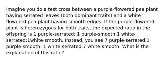 Imagine you do a test cross between a purple-flowered pea plant having serrated leaves (both dominant traits) and a white-flowered pea plant having smooth edges. If the purple-flowered plant is heterozygous for both traits, the expected ratio in the offspring is 1 purple-serrated: 1 purple-smooth:1 white-serrated:1white-smooth. Instead, you see 7 purple-serrated:1 purple-smooth: 1 white-serrated:7 white-smooth. What is the explanation of this ratio?